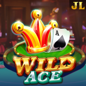Wild Ace slot on 48j